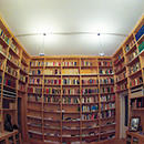 Project Assistant at Fondazione Giannino Bassetti